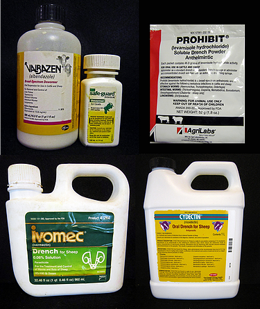 Can Ivermectin Kill All Worms In Dogs